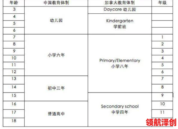 嫩叶草m码和澳洲码的区别及选购指南：了解尺码体系的特点与实际应用方法